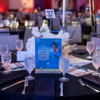 15th Annual Gala 2025, Houston chapter
